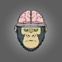 Big Brain Capital DAO