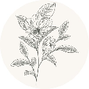 Bouje Token
