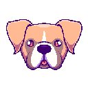 Boxer Inu