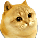 Catge coin