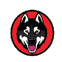 Kaiken Inu