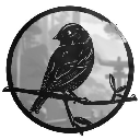 KokanKano