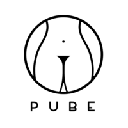 Pube finance