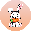 Rabbit INU