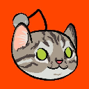 reddit cat