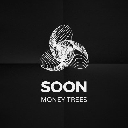Soon Coin