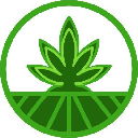 Strains Finance